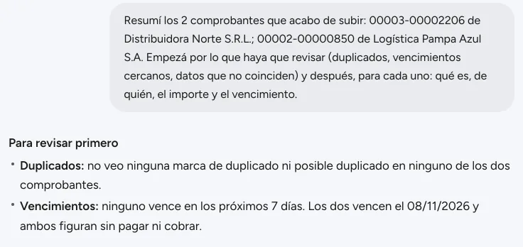 El pedido de resumen de dos comprobantes recién subidos y el comienzo de la respuesta de Finy: lo que hay que revisar primero